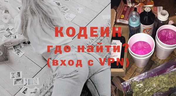 индика Краснослободск