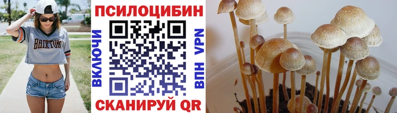 Галлюциногенные грибы GOLDEN TEACHER Заринск