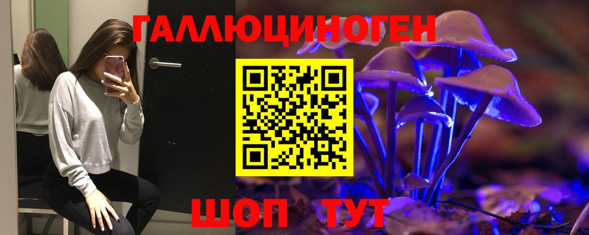 Псилоцибиновые грибы Psilocybe  Вход с VPN  Псилоцибиновые грибы мицелий  Заринск 